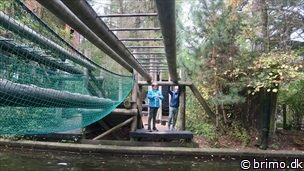 Miniature af billede nummer 10385