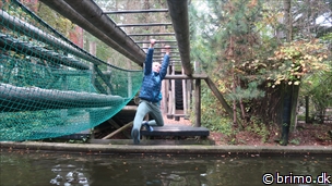 Miniature af billede nummer 10386