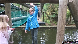 Miniature af billede nummer 10388