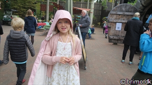 Miniature af billede nummer 10390