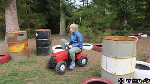 Miniature af billede nummer 10391