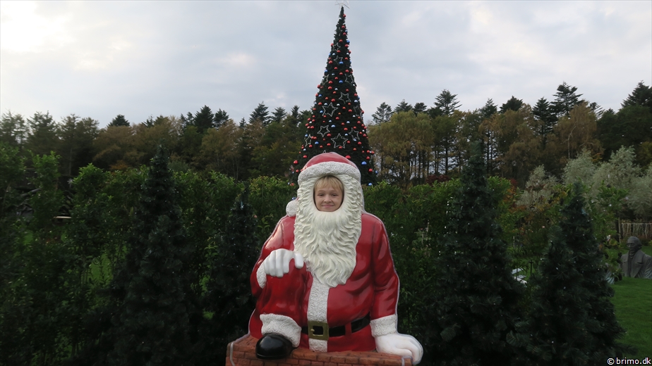 Billede nummer 10393