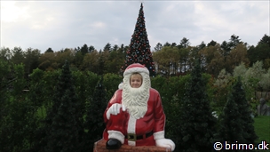 Miniature af billede nummer 10393