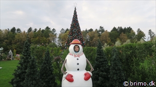 Miniature af billede nummer 10394