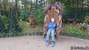 Miniature af billede nummer 10395