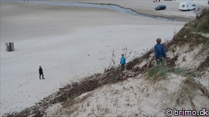 Miniature af billede nummer 10399