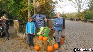 Miniature af billede nummer 10401