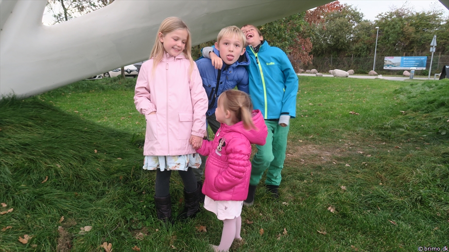 Billede nummer 10406