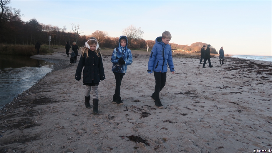 Billede nummer 10418