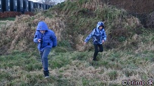 Miniature af billede nummer 10436