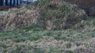 Miniature af billede nummer 10437