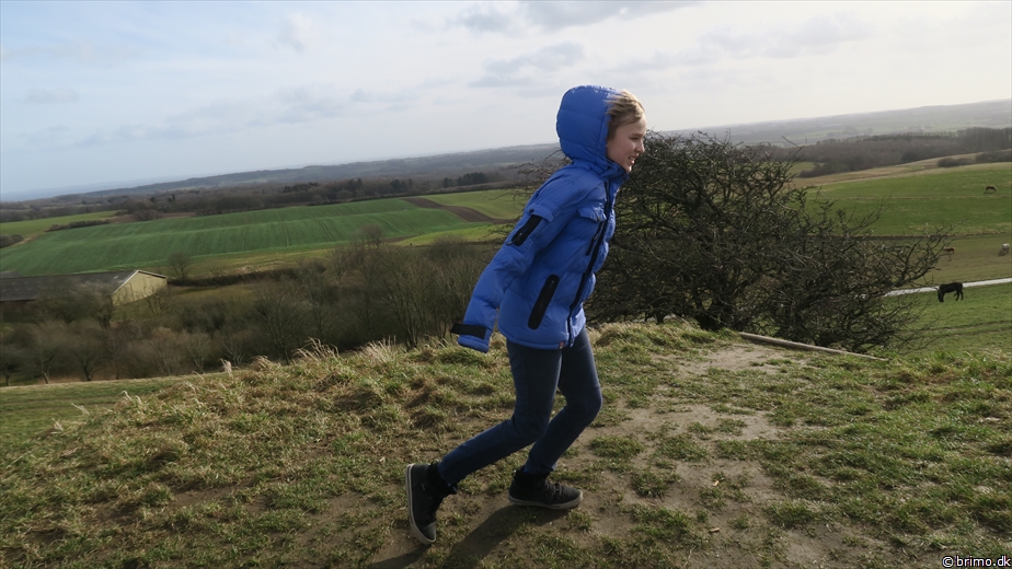 Billede nummer 10441