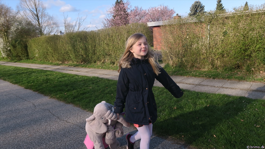 Billede nummer 10446