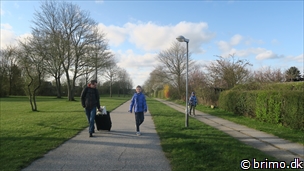 Miniature af billede nummer 10447