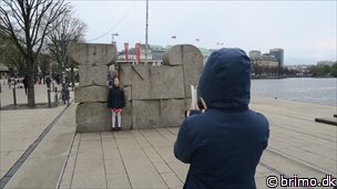 Miniature af billede nummer 10449