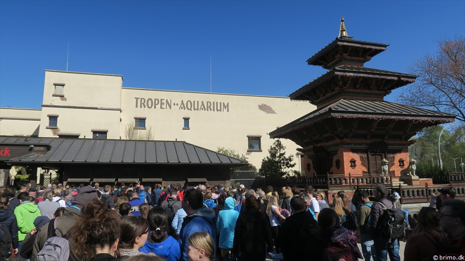 Billede nummer 10459