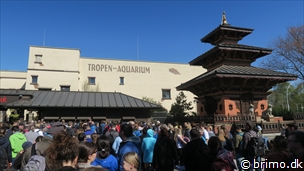 Miniature af billede nummer 10459