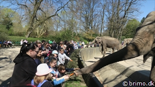 Miniature af billede nummer 10461