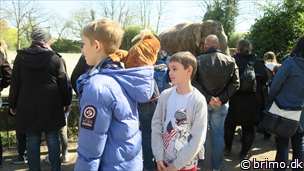 Miniature af billede nummer 10463