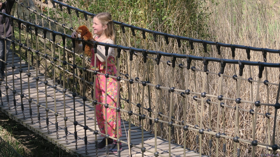 Billede nummer 10465