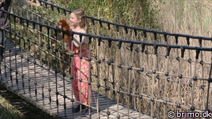 Miniature af billede nummer 10465