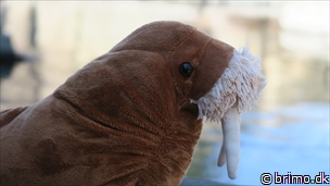 Miniature af billede nummer 10466