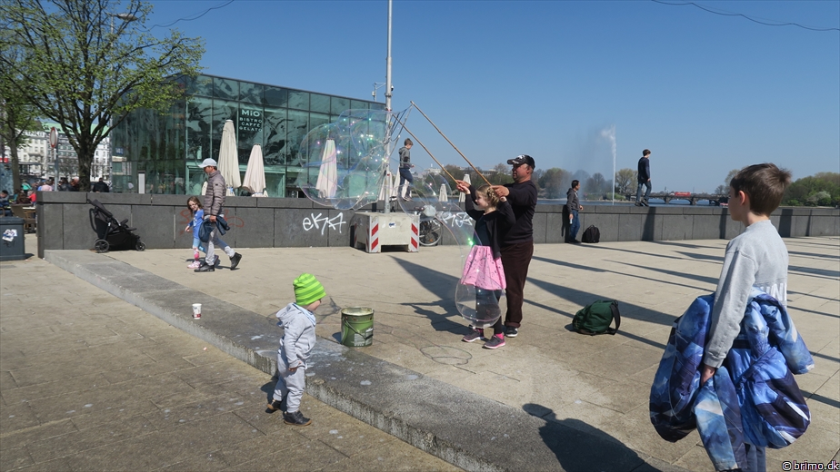 Billede nummer 10478