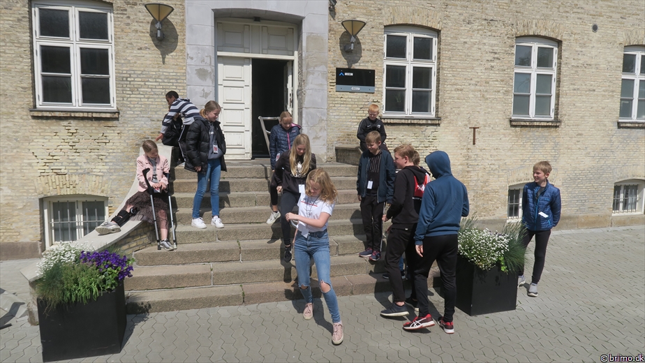 Billede nummer 10482