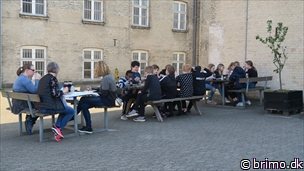 Miniature af billede nummer 10483