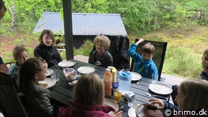 Miniature af billede nummer 10487