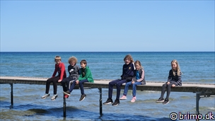 Miniature af billede nummer 10488