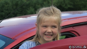 Miniature af billede nummer 10493