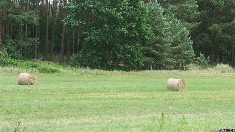 Billede nummer 10505