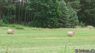 Miniature af billede nummer 10505