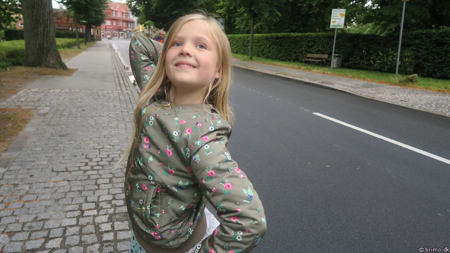 Billede nummer 10517