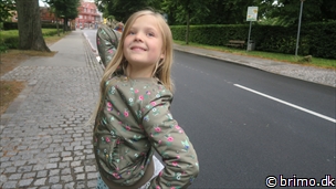 Miniature af billede nummer 10517