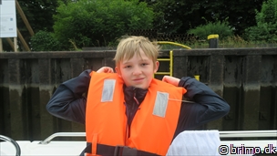 Miniature af billede nummer 10528