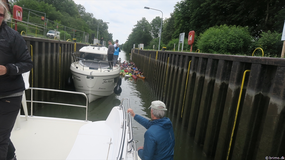 Billede nummer 10529