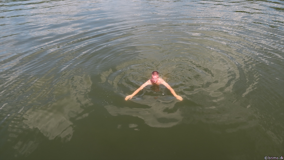 Billede nummer 10533