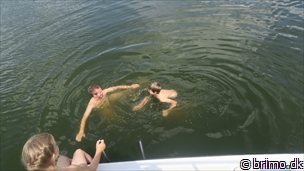 Miniature af billede nummer 10534