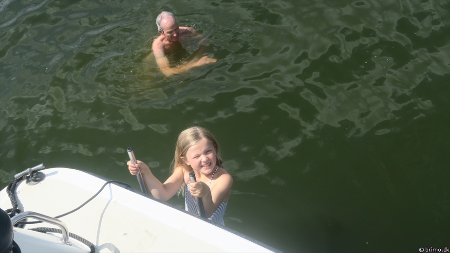 Billede nummer 10535