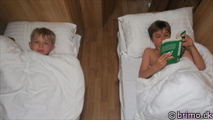 Miniature af billede nummer 10540