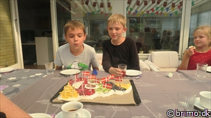 Miniature af billede nummer 11486