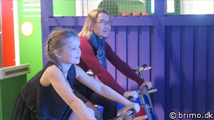 Miniature af billede nummer 11495