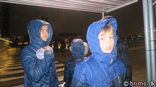 Miniature af billede nummer 11501