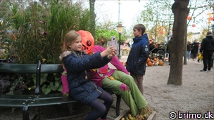 Miniature af billede nummer 11503