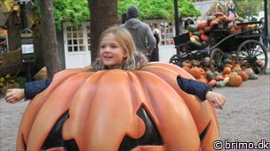 Miniature af billede nummer 11505