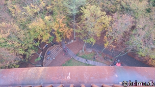 Miniature af billede nummer 11509