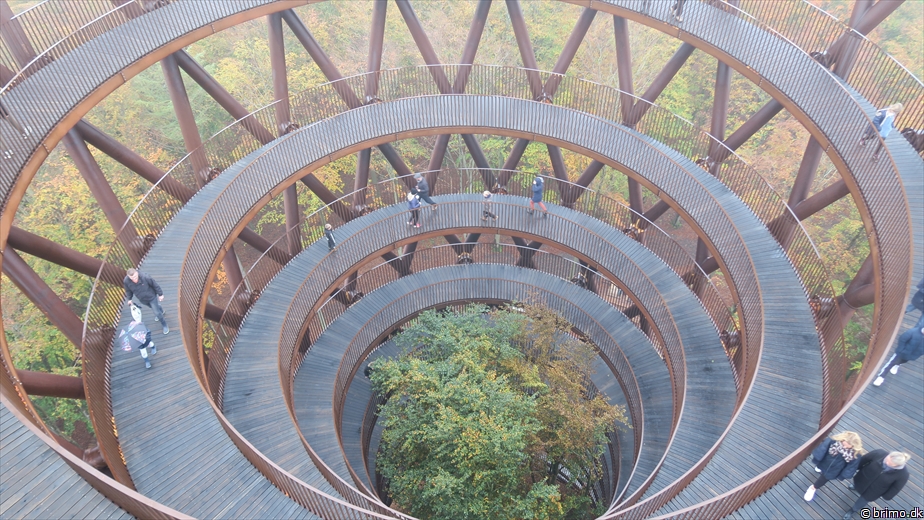 Billede nummer 11510