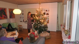 Miniature af billede nummer 11520